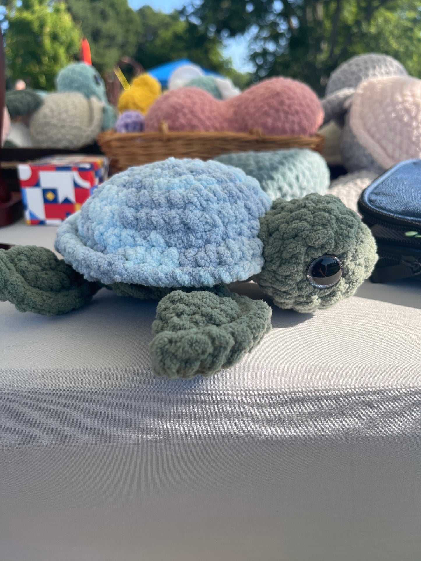 Baby turtle