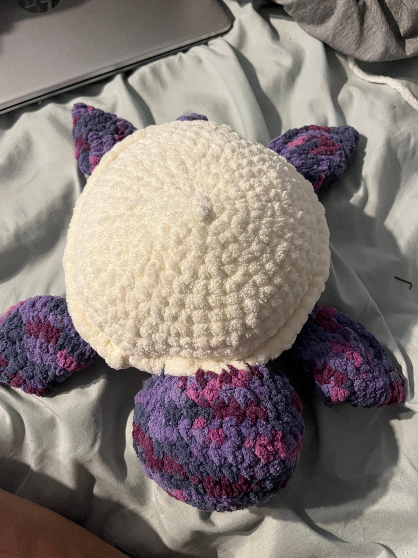 Medium Turtle
