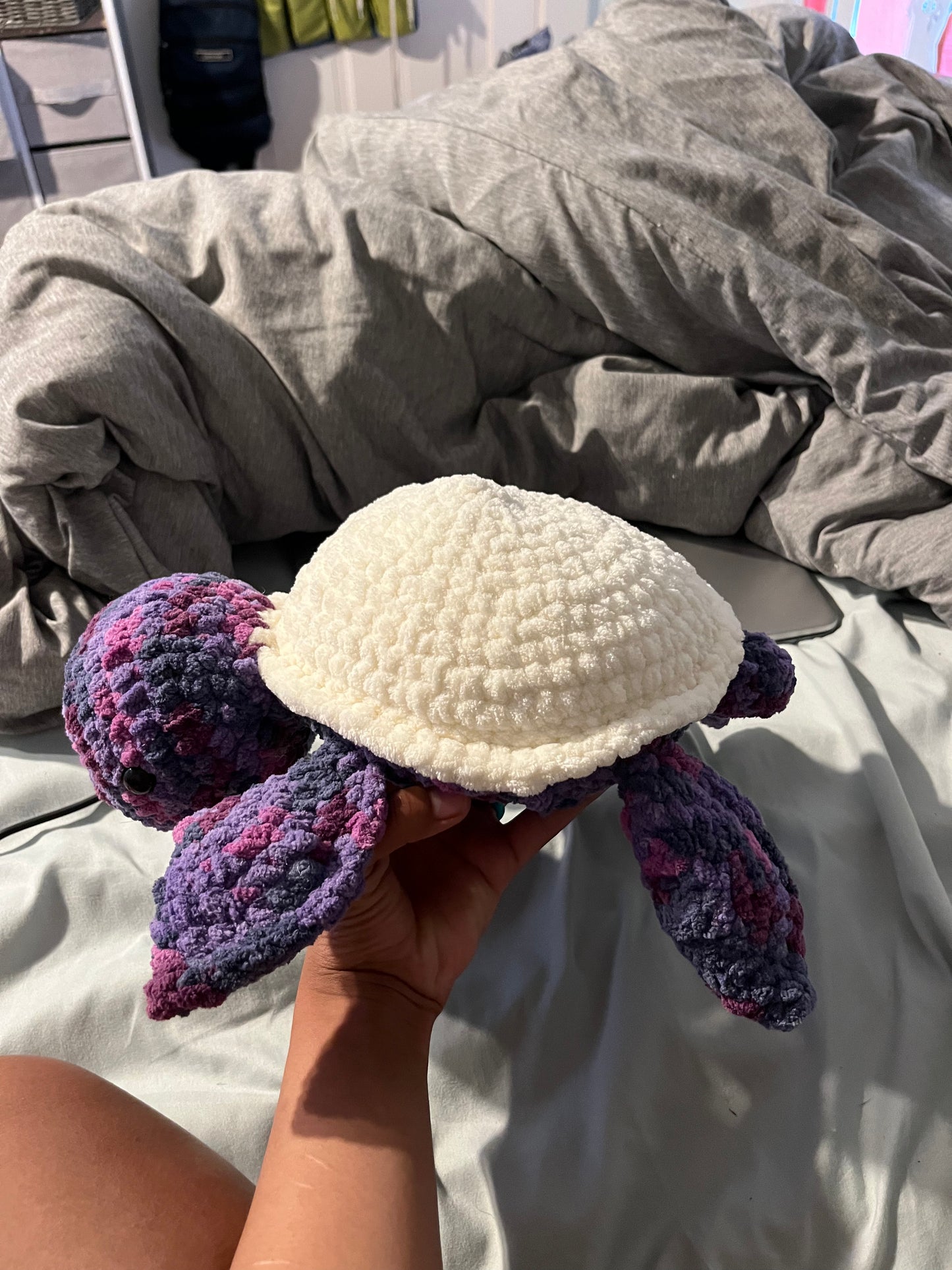 Medium Turtle